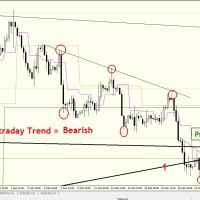 25 FEB 2013 | Free Daily Analysis | EURUSD : EURO CLINGING ON….BARELY DB 2502 H4
