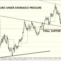 DB1803 Daily