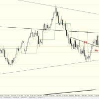 DB 2404 DAILY