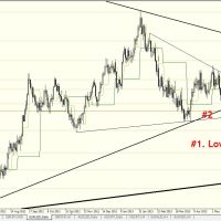 DB 2905 Daily