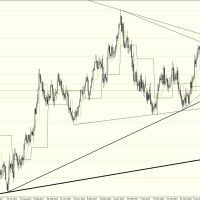 DB 0307 Daily