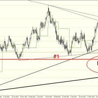 DB 0807 Daily