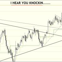 DB 2810 Daily