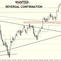 DB 0611 Daily