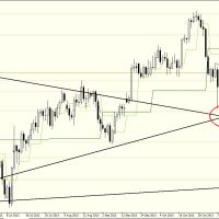 DB 1811 Daily