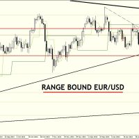 DB 1002 Daily