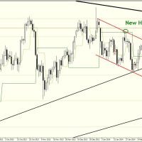 DB 1902 Daily