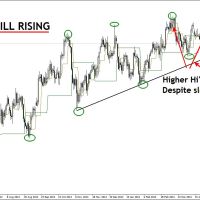 DB 1305 daily