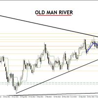 DB 0807 Weekly