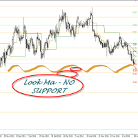 DB 2907 Daily