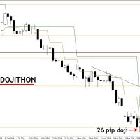 DB 0309 Daily